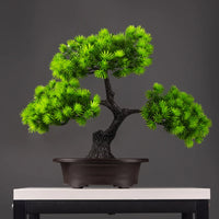 Wolong pine