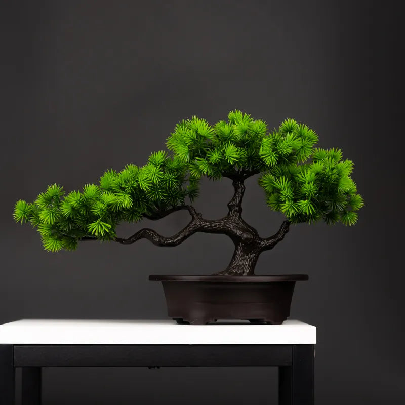 ORNAMENTAL BONSAI