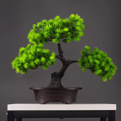 ORNAMENTAL BONSAI