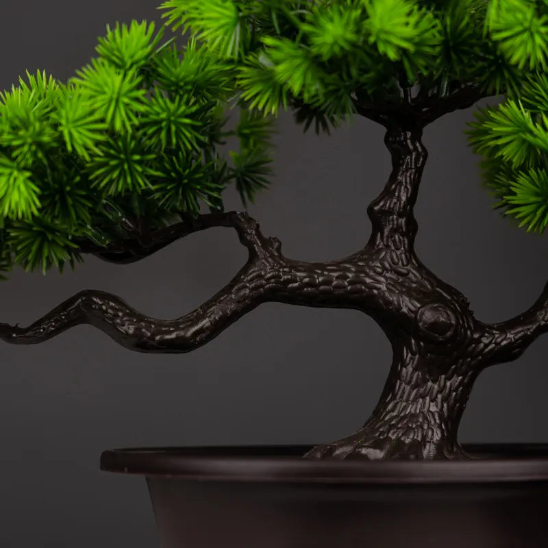 ORNAMENTAL BONSAI