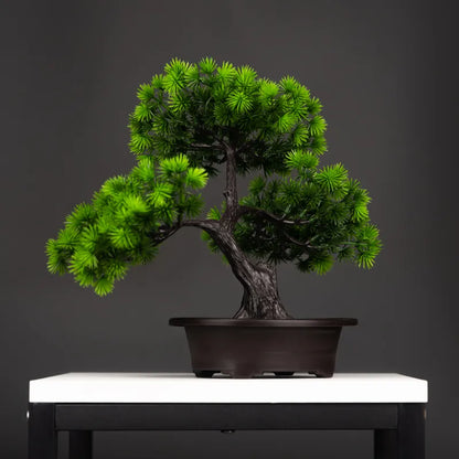 ORNAMENTAL BONSAI