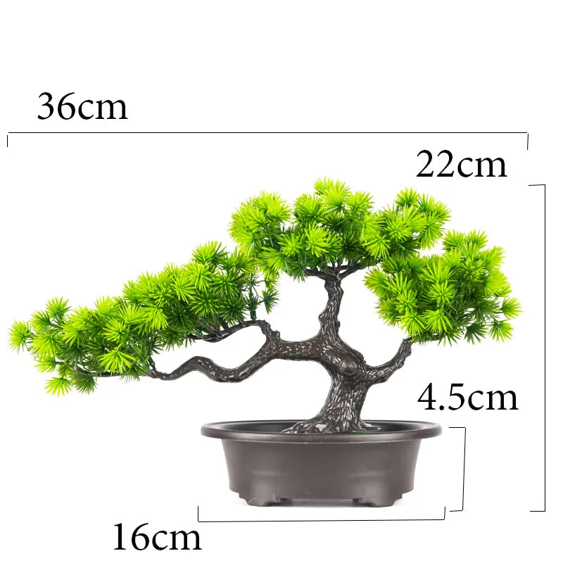 ORNAMENTAL BONSAI